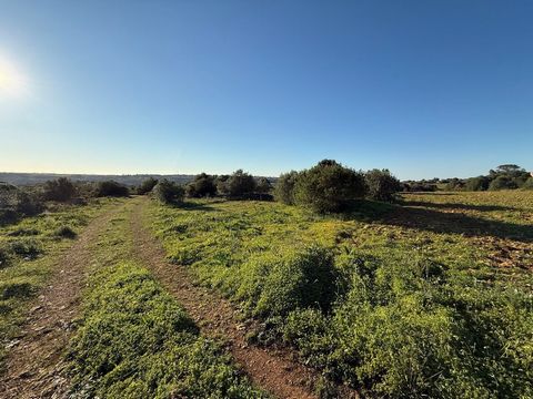 A MAIS VALIA DO IMÓVEL: Terreno rústico, devoluto, com uma área total de 17.000m² e possível viabilidade para construção de edificações de apoio à atividade agrícola. DESCRIÇÃO DO IMÓVEL: a. Área 17.000m² b. Com viabilidade de construção de edificaçõ...