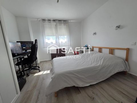 photo no. 11