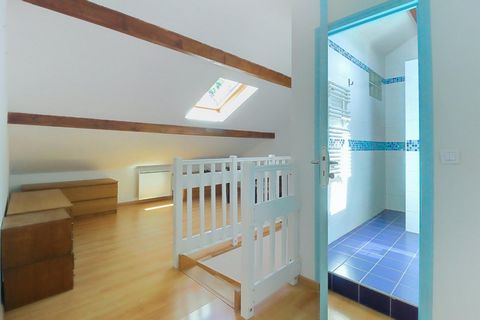 photo no. 7