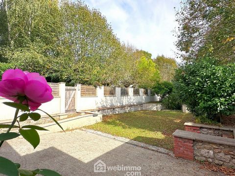 photo no. 16