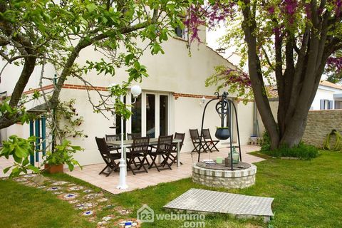 photo no. 13