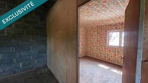 photo no. 11