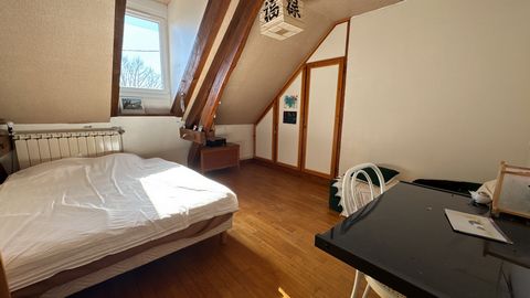 photo no. 12