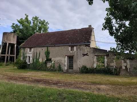 photo no. 6
