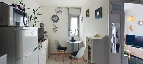 photo no. 4