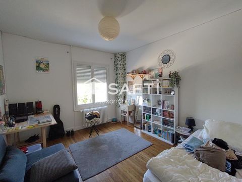 photo no. 12
