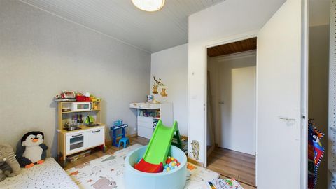 photo no. 6