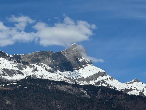 photo no. 8