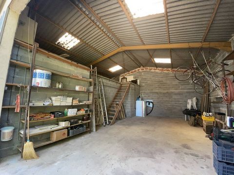 photo no. 16