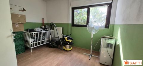 photo no. 11