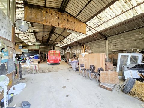 photo no. 6