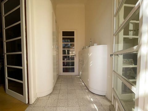 photo no. 10