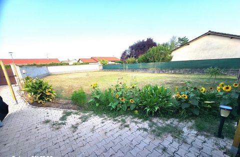 photo no. 1