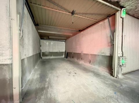 photo no. 6