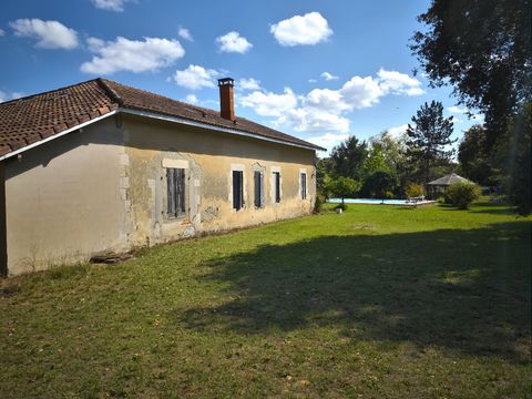 photo no. 23