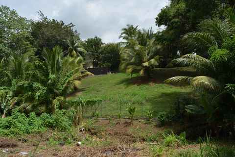 photo no. 1