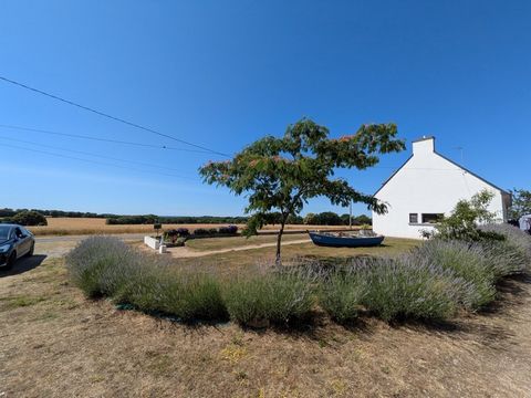 photo no. 2