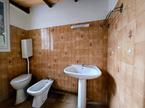 photo no. 8