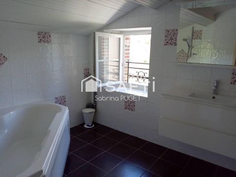 photo no. 12