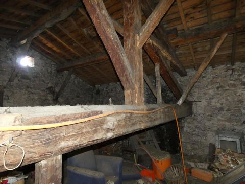 photo no. 9