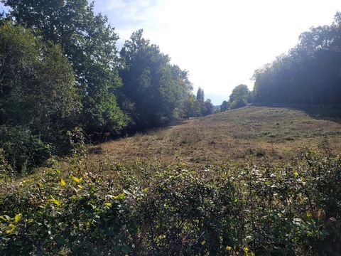 photo no. 11