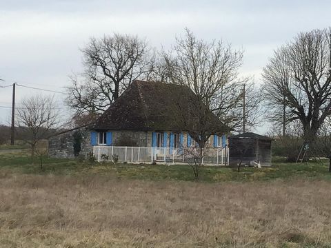 photo no. 13