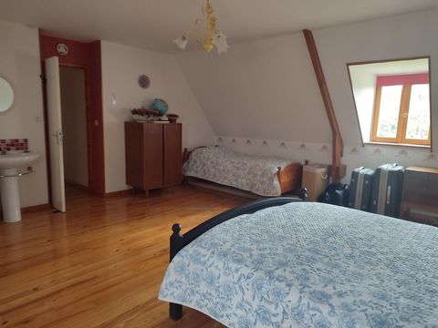 photo no. 11