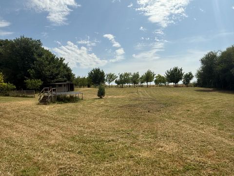 photo no. 2