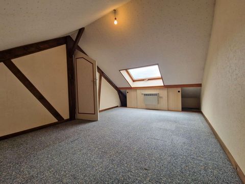 photo no. 11