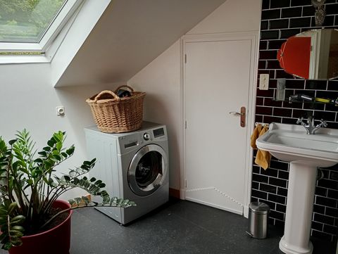 photo no. 14