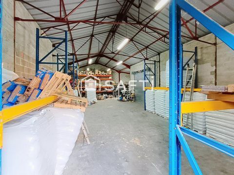 photo no. 10