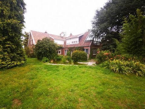 photo no. 3