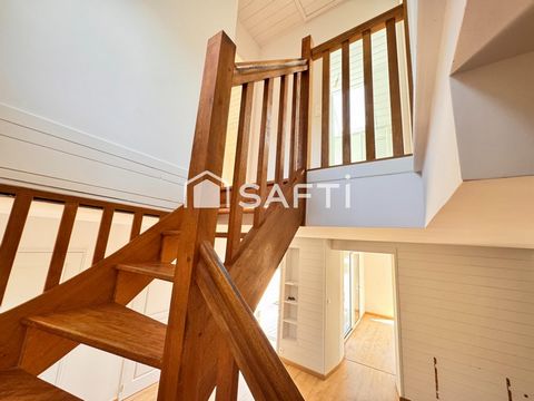 photo no. 10