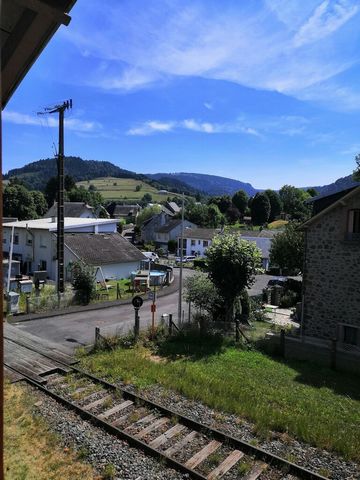 photo no. 12