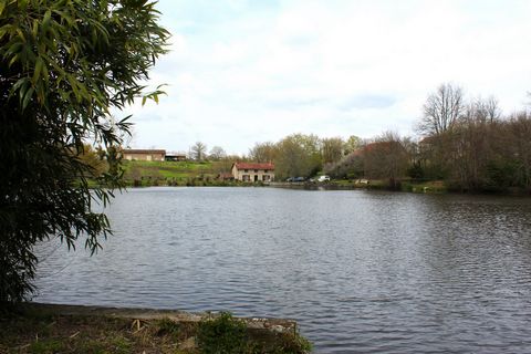 photo no. 6