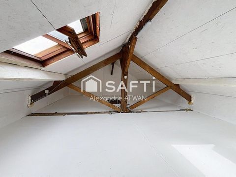 photo no. 12