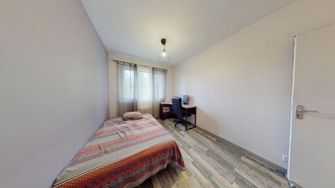 photo no. 11