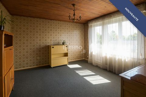 photo no. 7
