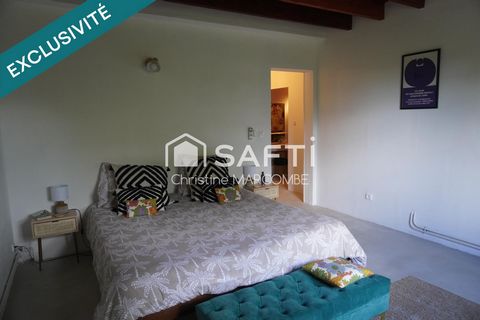 photo no. 15