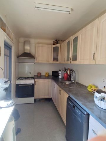 photo no. 13