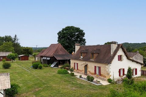 photo no. 3