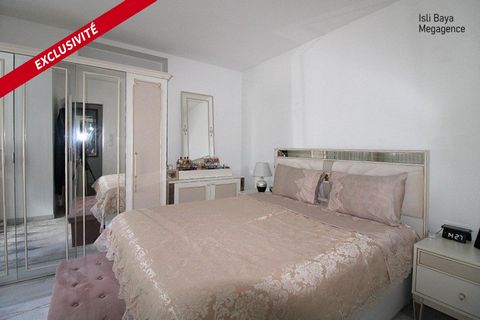 photo no. 6