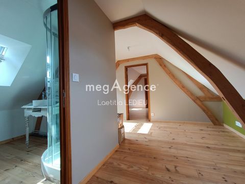 photo no. 7
