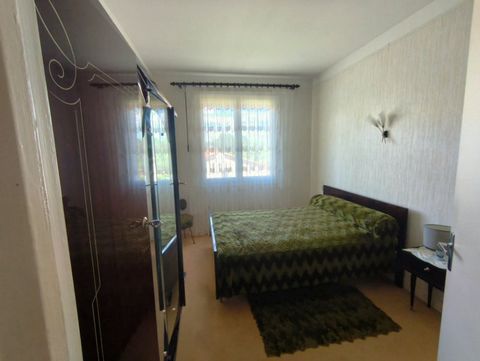 photo no. 8