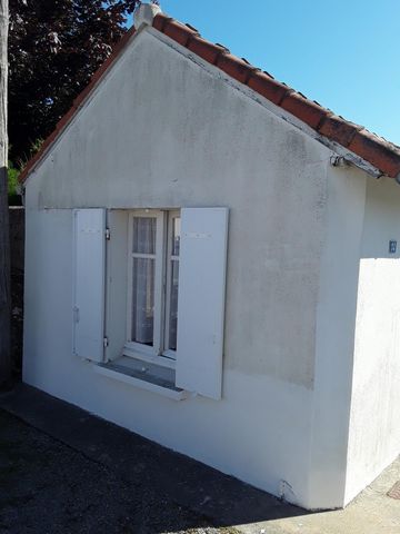 photo no. 6