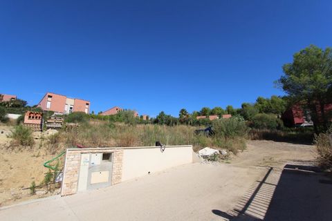 photo no. 4