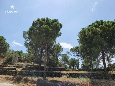 Welcome to STAR PROP, the leading real estate agency in the commercialization of exceptional properties. Today, I am pleased to present to you a plot of land for sale located in one of the most peaceful and charming areas of El Port de la Selva, Giro...