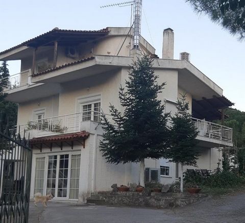 Central Greece, Livadia. For sale a three-level house of 200 sq.m. on the plot of 2000 sq.m. On the ground floor there is an apartment of 100 sq.m. with separate entrance, consists living room – kitchen, 2 bedrooms, big bath with Jacuzzi and shower, ...