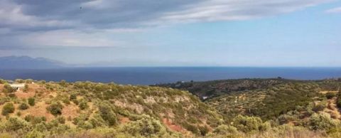 For sale a plot of 8,237 sq.m. in the settlement of Livadakia with fantastic views of Koroni and the Ionian Sea. 4 km distance from Koroni, 50 km from Kalamata and 45 km from the airport of Kalamata. It is buildable, with a maximum construction of 28...
