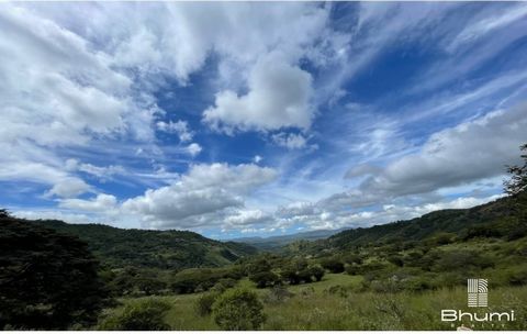 Farm for Sale of 23 Mz in Community La Pita Miraflor suitable for Cattle Orchard and Sembradillo 20 Min from EsteliSCHEDULE YOUR APPOINTMENT Whatsapp https://wa.me/ ... •It has drinking water•Electric Energy•Easy access•It borders Quebrada•Sacate Sta...